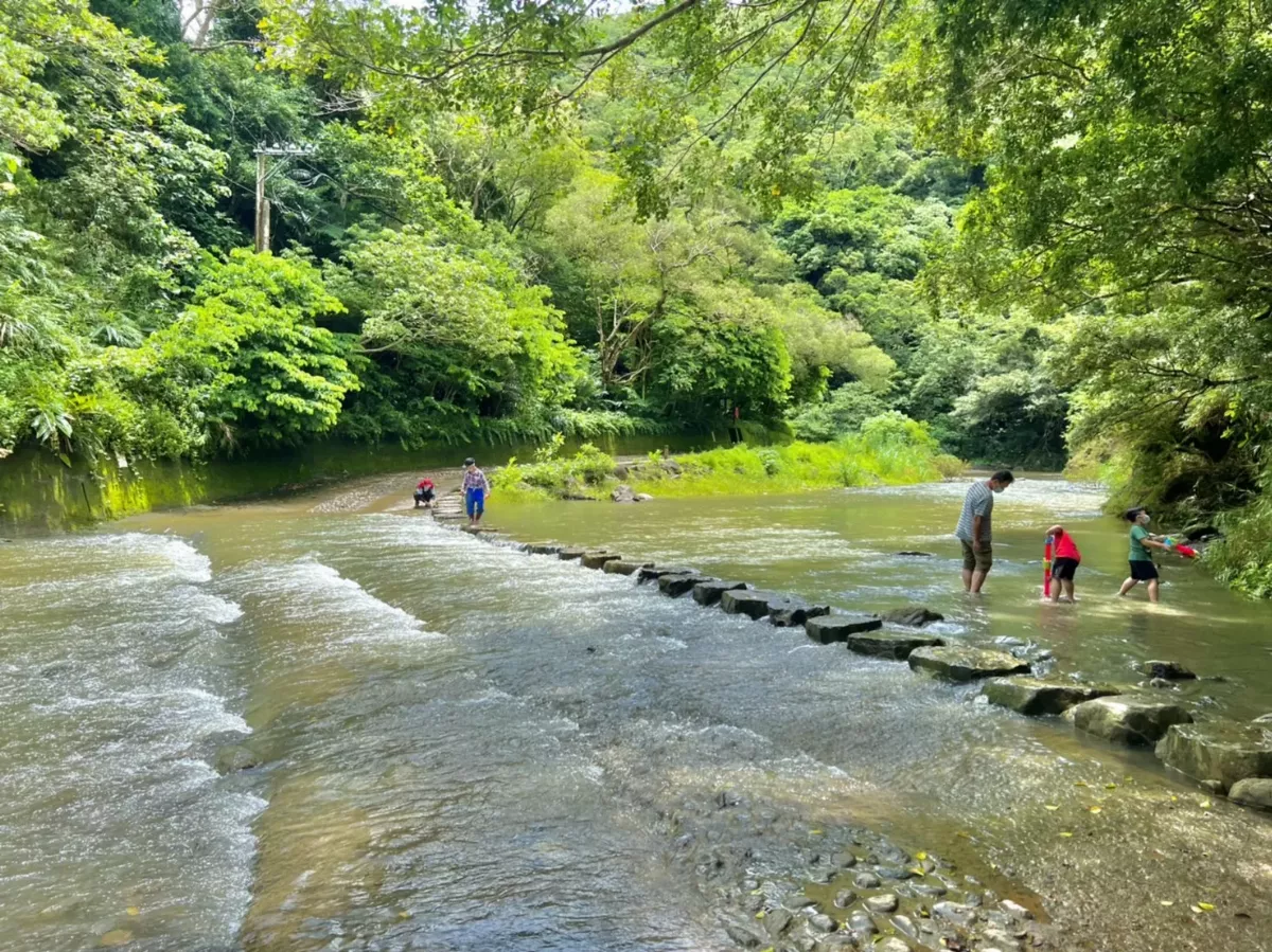兒童節併同清明連假 12歲以下免費進入15處森林遊樂區